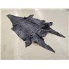 Image 5 : Big Alligator Tanned Skin Taxidermy