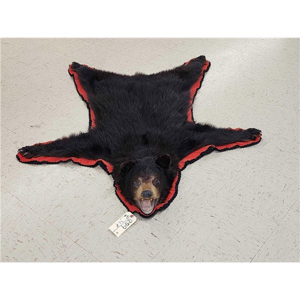 Black Bear Rug Taxidermy