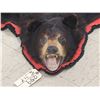 Image 2 : Black Bear Rug Taxidermy