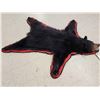 Image 3 : Black Bear Rug Taxidermy