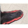 Image 5 : Black Bear Rug Taxidermy