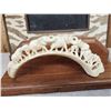 Image 2 : Hand Carved African Warthog Tusks Lot