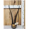 Image 1 : African Grants Gazelle Horns On Plaque Taxidermy