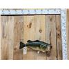 Image 1 : 25" Largemouth Bass Real Skin Fish Taxidermy
