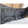 Image 3 : Hand Carved African Cape Buffalo Horn