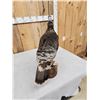 Image 6 : Rare Bearded Hen Turkey Full Body Bird Taxidermy