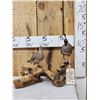 Image 1 : Pair Of Bob White Quail Full Body Bird Taxidermy