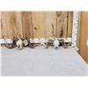 Image 1 : 2 Ram Sheep Skulls Taxidermy