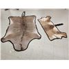 Image 1 : African Nyala & Hartebeest Rugs Taxidermy