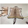 Image 4 : African Nyala & Hartebeest Rugs Taxidermy