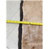 Image 9 : African Nyala & Hartebeest Rugs Taxidermy