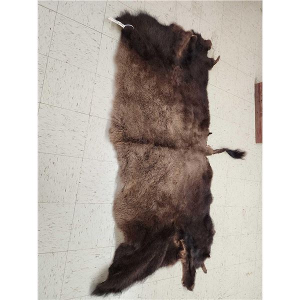 American Bison Buffalo Soft Tanned Robe Taxidermy