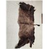 Image 1 : American Bison Buffalo Soft Tanned Robe Taxidermy