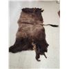 Image 2 : American Bison Buffalo Soft Tanned Robe Taxidermy