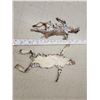Image 3 : 2 Bobcat Tanned Furs Taxidermy