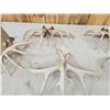 Image 14 : 5 Matching Sets Of Wild Whitetail Shed Antlers