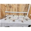 Image 1 : 11 Matching Sets Of Wild Whitetail Shed Antlers