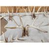 Image 8 : 11 Matching Sets Of Wild Whitetail Shed Antlers