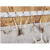 Image 9 : 11 Matching Sets Of Wild Whitetail Shed Antlers