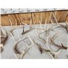 Image 6 : 21.4 Lbs Of Whitetail Shed Antlers