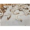 Image 7 : 21.4 Lbs Of Whitetail Shed Antlers