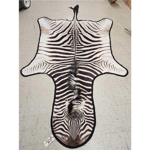Zebra Rug Taxidermy