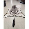Image 4 : Zebra Rug Taxidermy