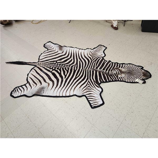 Zebra Rug Taxidermy
