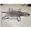 Image 1 : Zebra Rug Taxidermy