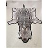Image 2 : Zebra Rug Taxidermy
