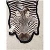 Image 3 : Zebra Rug Taxidermy