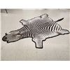 Image 4 : Zebra Rug Taxidermy