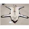 Image 1 : Gorgeous White Arctic Wolf Rug Taxidermy
