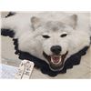 Image 2 : Gorgeous White Arctic Wolf Rug Taxidermy