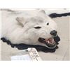 Image 3 : Gorgeous White Arctic Wolf Rug Taxidermy