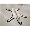 Image 5 : Gorgeous White Arctic Wolf Rug Taxidermy