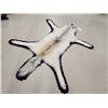 Image 6 : Gorgeous White Arctic Wolf Rug Taxidermy