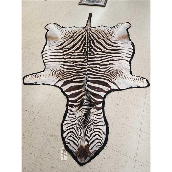 Zebra Rug Taxidermy