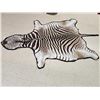 Image 2 : Zebra Rug Taxidermy