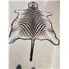Image 3 : Zebra Rug Taxidermy