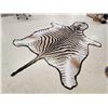 Image 4 : Zebra Rug Taxidermy