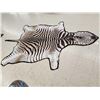 Image 5 : Zebra Rug Taxidermy