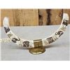 Image 2 : Dual Scrimshawed African Warthog Tusk Display
