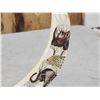Image 3 : Dual Scrimshawed African Warthog Tusk Display