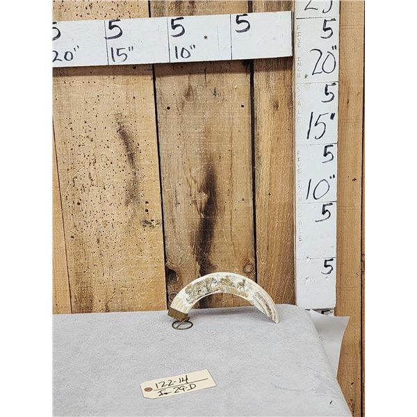 Beautiful Scrimshawed Hippopotamus Tusk Artwork