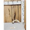 Image 1 : Beautiful Scrimshawed Hippopotamus Tusk Artwork