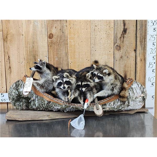 Family Of Raccoons Fishing In A Birch Bark Canoe