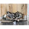 Image 1 : Family Of Raccoons Fishing In A Birch Bark Canoe