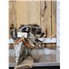 Image 3 : Family Of Raccoons Fishing In A Birch Bark Canoe
