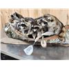 Image 7 : Family Of Raccoons Fishing In A Birch Bark Canoe